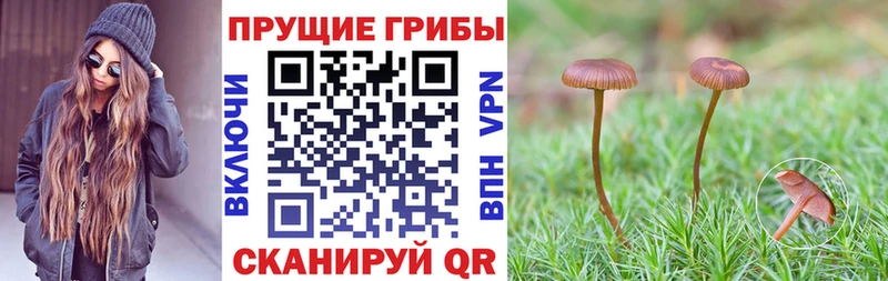 Псилоцибиновые грибы мухоморы  Переславль-Залесский 